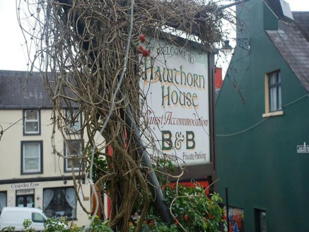 Hawthorn House Guesthouse Kenmare Ngoại thất bức ảnh